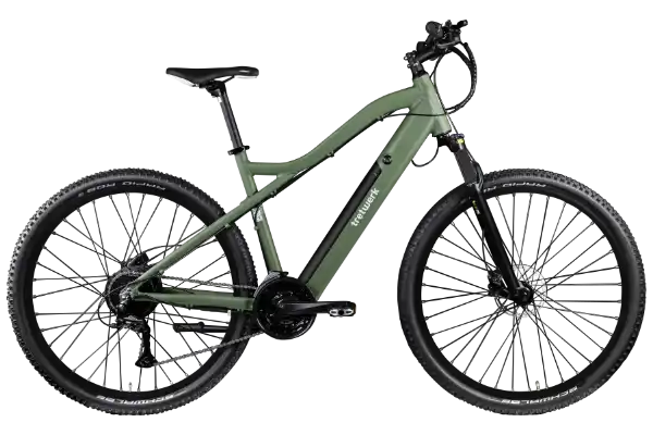 Commander Plus E-Bike